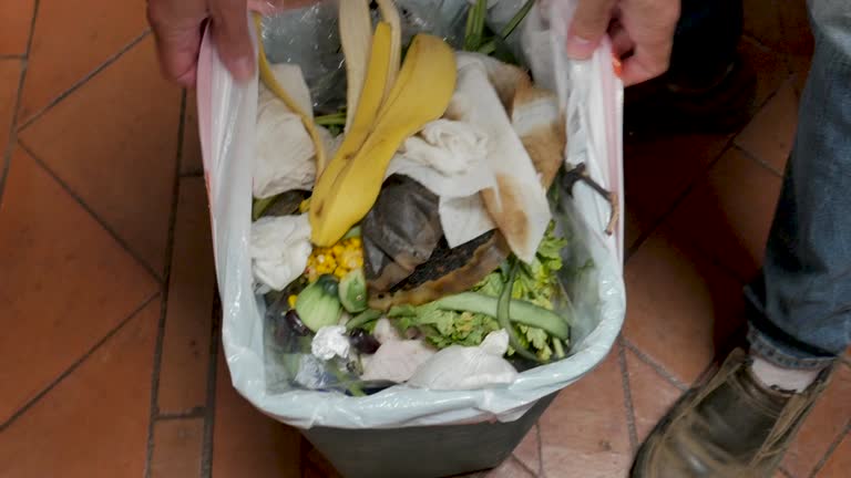  East Grand Forks, MN Junk Removal Services Pros